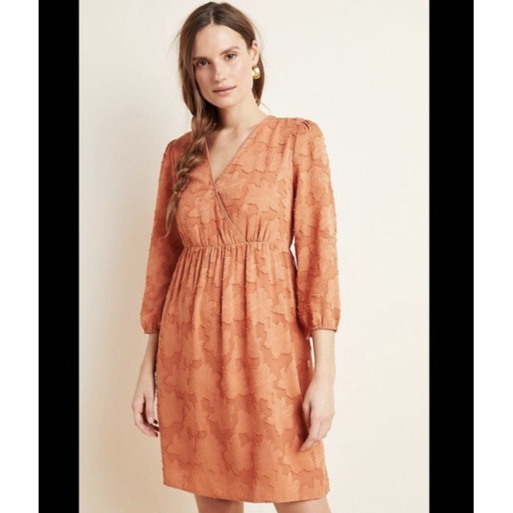 Anthropologie Daniel Rainn Dress Womens Large L Burnout Rust Orange Fall V-Neck